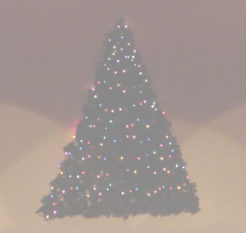 Christmas Concert — “Winter Rhapsody” photo 64