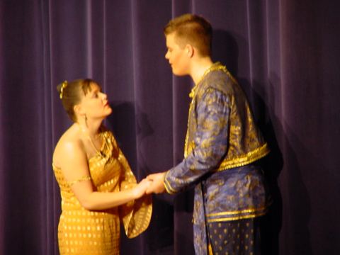 Act II, Scene 2:  Outside the Palace (That Night)